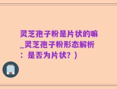 灵芝孢子粉是片状的嘛_灵芝孢子粉形态解析：是否为片状？)