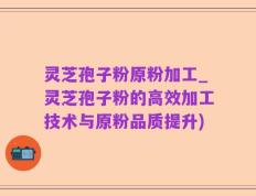 灵芝孢子粉原粉加工_灵芝孢子粉的高效加工技术与原粉品质提升)