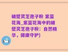 破壁灵芝孢子粉 紫蓝花海_紫蓝花海中的破壁灵芝孢子粉：自然精华，健康守护)