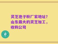 灵芝孢子粉厂家地址？山东最大的灵芝加工，收购公司