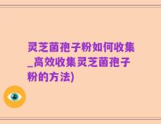 灵芝菌孢子粉如何收集_高效收集灵芝菌孢子粉的方法)