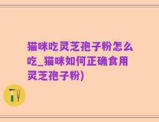 猫咪吃灵芝孢子粉怎么吃_猫咪如何正确食用灵芝孢子粉)