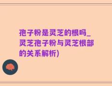 孢子粉是灵芝的根吗_灵芝孢子粉与灵芝根部的关系解析)