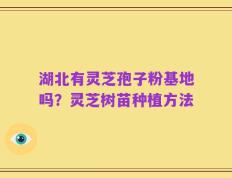 湖北有灵芝孢子粉基地吗？灵芝树苗种植方法