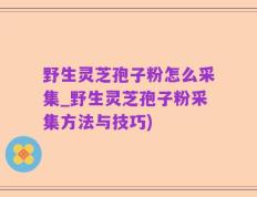 野生灵芝孢子粉怎么采集_野生灵芝孢子粉采集方法与技巧)