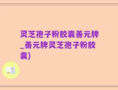 灵芝孢子粉胶囊善元牌_善元牌灵芝孢子粉胶囊)
