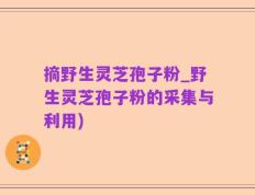 摘野生灵芝孢子粉_野生灵芝孢子粉的采集与利用)