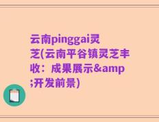 云南pinggai灵芝(云南平谷镇灵芝丰收：成果展示&开发前景)