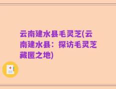 云南建水县毛灵芝(云南建水县：探访毛灵芝藏匿之地)