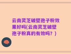 云南灵芝破壁孢子粉效果好吗(云南灵芝破壁孢子粉真的有效吗？)