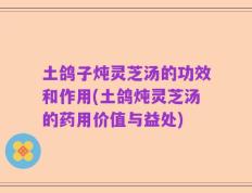 土鸽子炖灵芝汤的功效和作用(土鸽炖灵芝汤的药用价值与益处)