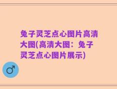 兔子灵芝点心图片高清大图(高清大图：兔子灵芝点心图片展示)
