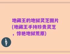 地藏王的地狱灵芝图片(地藏王手持珍贵灵芝，惊艳地狱荒原)