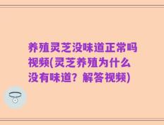 养殖灵芝没味道正常吗视频(灵芝养殖为什么没有味道？解答视频)