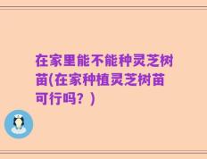 在家里能不能种灵芝树苗(在家种植灵芝树苗可行吗？)