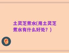 土灵芝煮水(用土灵芝煮水有什么好处？)