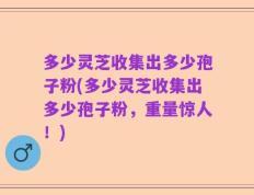 多少灵芝收集出多少孢子粉(多少灵芝收集出多少孢子粉，重量惊人！)