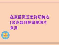 在家里灵芝怎样切片吃(灵芝如何在家里切片食用