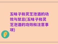 五味子和灵芝泡酒的功效与禁忌(五味子和灵芝泡酒的功效和注意事项)
