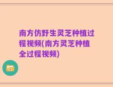 南方仿野生灵芝种植过程视频(南方灵芝种植全过程视频)