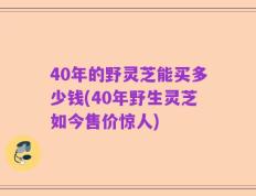 40年的野灵芝能买多少钱(40年野生灵芝如今售价惊人)