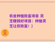 农业种植致富项目 灵芝赚钱好项目：种植灵芝让你致富！)
