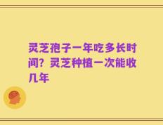 灵芝孢子一年吃多长时间？灵芝种植一次能收几年