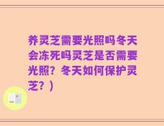 养灵芝需要光照吗冬天会冻死吗灵芝是否需要光照？冬天如何保护灵芝？)