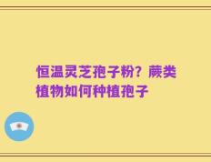 恒温灵芝孢子粉？蕨类植物如何种植孢子