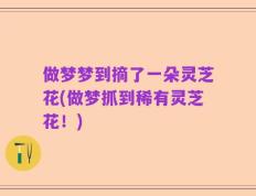 做梦梦到摘了一朵灵芝花(做梦抓到稀有灵芝花！)