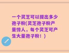一个灵芝可以提出多少孢子粉(灵芝孢子粉产量惊人，每个灵芝可产生大量孢子粉！)