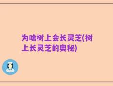 为啥树上会长灵芝(树上长灵芝的奥秘)