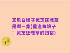 又见白娘子灵芝还魂草是哪一集(重逢白娘子：灵芝还魂草的归宿)