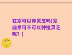 在家可以养灵芝吗(家庭里可不可以种植灵芝呢？)