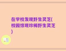 在学校发现野生灵芝(校园惊现珍稀野生灵芝)