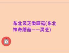 东北灵芝类蘑菇(东北神奇蘑菇——灵芝)