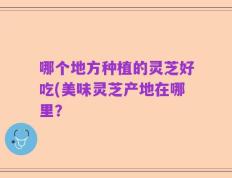 哪个地方种植的灵芝好吃(美味灵芝产地在哪里？