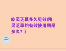 吃灵芝草多久见效啊(灵芝草的有效使用期是多久？)