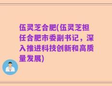 伍灵芝合肥(伍灵芝担任合肥市委副书记，深入推进科技创新和高质量发展)