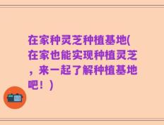 在家种灵芝种植基地(在家也能实现种植灵芝，来一起了解种植基地吧！)
