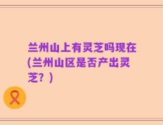 兰州山上有灵芝吗现在(兰州山区是否产出灵芝？)