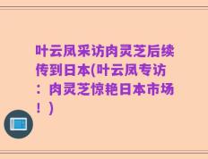 叶云凤采访肉灵芝后续传到日本(叶云凤专访：肉灵芝惊艳日本市场！)