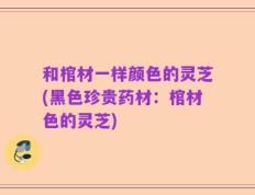 和棺材一样颜色的灵芝(黑色珍贵药材：棺材色的灵芝)
