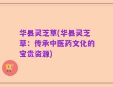 华县灵芝草(华县灵芝草：传承中医药文化的宝贵资源)