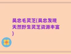 吴忠毛灵芝(吴忠发现天然野生灵芝资源丰富)