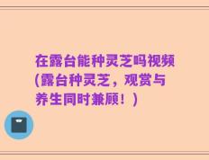 在露台能种灵芝吗视频(露台种灵芝，观赏与养生同时兼顾！)