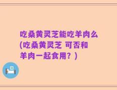 吃桑黄灵芝能吃羊肉么(吃桑黄灵芝 可否和羊肉一起食用？)