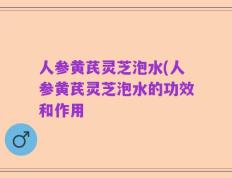 人参黄芪灵芝泡水(人参黄芪灵芝泡水的功效和作用