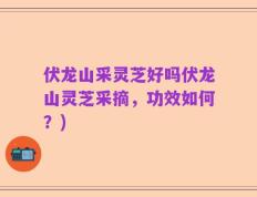 伏龙山采灵芝好吗伏龙山灵芝采摘，功效如何？)