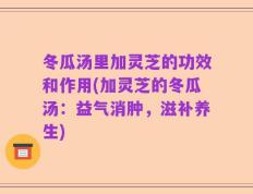 冬瓜汤里加灵芝的功效和作用(加灵芝的冬瓜汤：益气消肿，滋补养生)